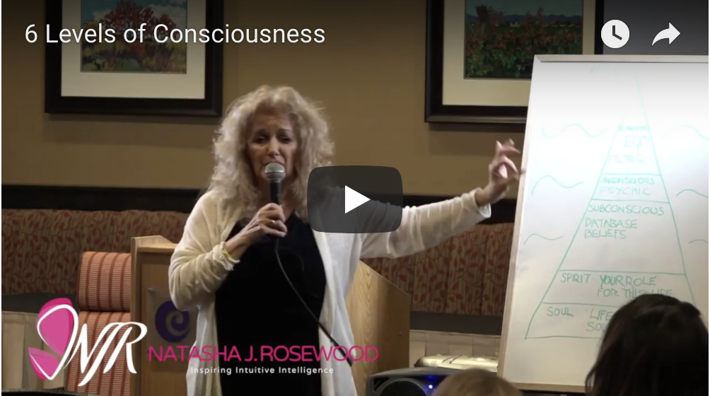 The 6 Levels of Consciousness